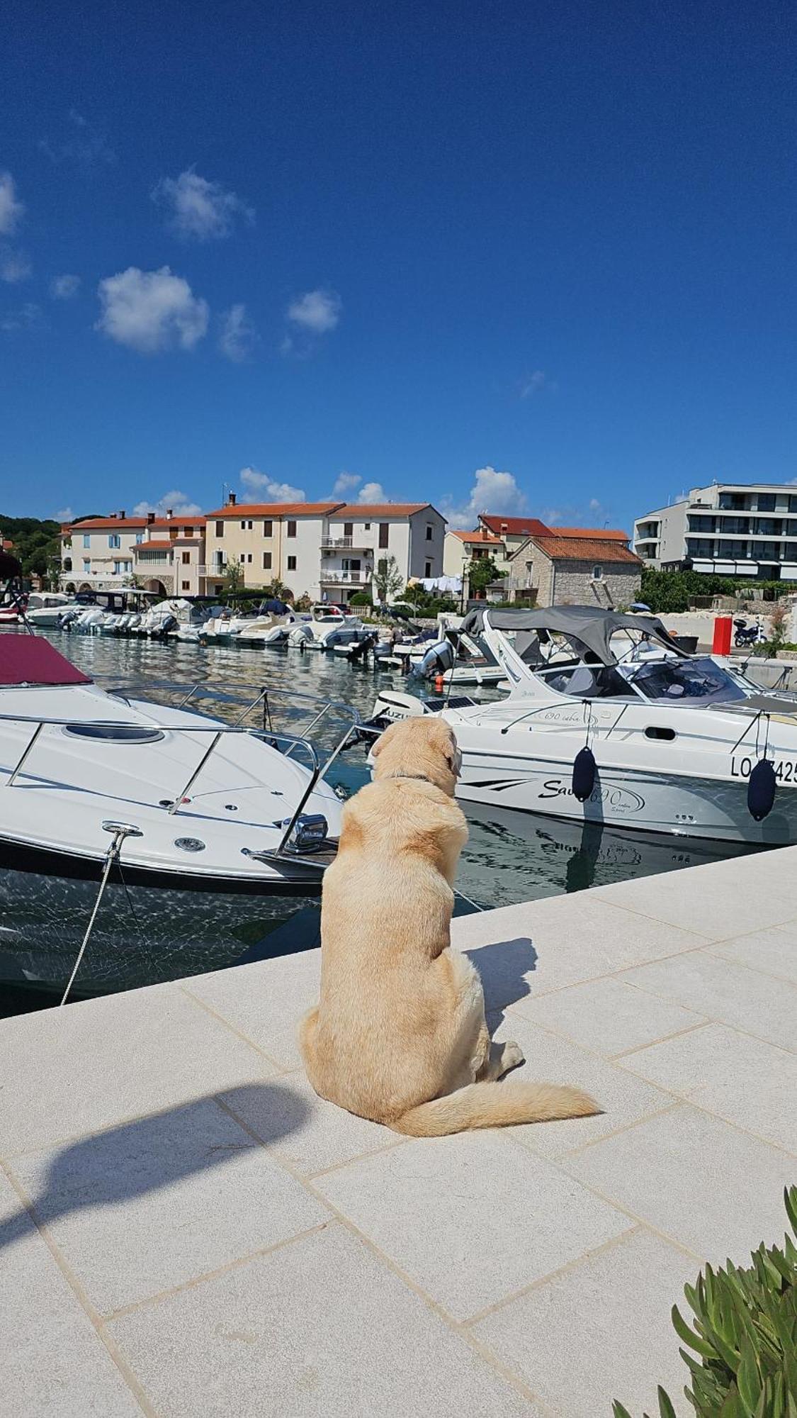 Apartman Sea View Vantacici Exteriér fotografie